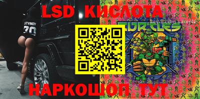 гашик Ликино-Дулёво
