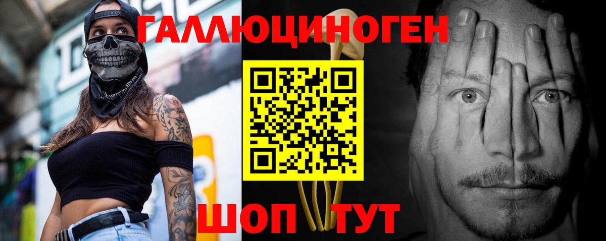 Галлюциногенные грибы Psilocybe  Вход с VPN  Псилоцибиновые грибы мухоморы  Избербаш 