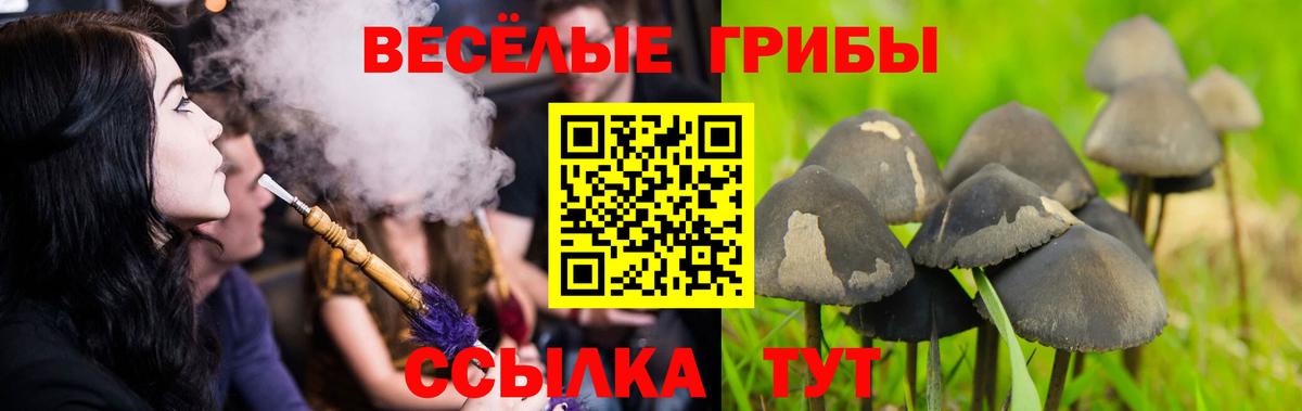 Псилоцибиновые грибы мухоморы Избербаш